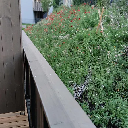 Gretel Apartment Soll